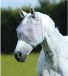 Premier Equine Masque anti-mouches Buster Standard XXS