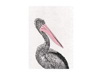 Maxwell & Williams Marini Ferlazzo Vogels, Theedoek Bedrukt met Australische Pelikaan, Katoenen Theedoek, Zwart/Wit, 50 x 70 Centimeter