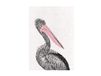 Maxwell & Williams Marini Ferlazzo Vogels, Theedoek Bedrukt met Australische Pelikaan, Katoenen Theedoek, Zwart/Wit, 50 x 70 Centimeter