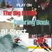 The big little coloring book of sport ages 8 to 80 Just fly right and color right