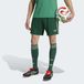 ADIDAS PERFORMANCE Short de sport 'Algeria 26 Away' spar / blanc perle