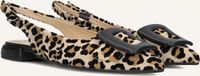 Notre-V 12241 Hakken Dames - Beige - Maat 39