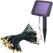 Esotec 102170 Solaire lichtketting Buiten 100 LED Warmwit