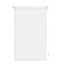 INTERBLIND Premium EasyFix rolgordijn, doorschijnend, glad, 52 x 180 cm (breedte x hoogte) - premium rolgordijn zonder gereedschap, afmetingen stof 49 x 175 cm, zonder boren, ecru