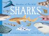 Wonders Little Smith Wonders of the Wild: Sharks Hardcover