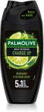 Palmolive Men Douchegel 5in1 Charge Up - 6 x 250 ml