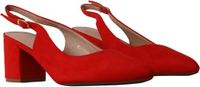 Super Mode Pumps met hak Rood Synthetisch Blokhak Puntige neus 36