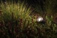 Garden Lights Arcus Smart grondpin MR16 RGB CCT IP44 - zwart