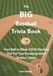The Big Baseball Trivia Book