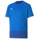 PUMA Unisex Kinder, teamGOAL 23 Training Jersey Jr T-shirt, Electric Blue Lemonade-Team Power Blue, 128