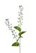 Louis Maes Bellflower l107cm blauw kunstbloem
