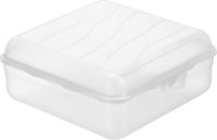 Rotho Fun Lunchbox Vierkant 2.35L Transparant