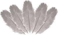 Chaks Struisvogelveren/sierveren - 5x - lichtgrijs - 20-25 cm - decoratie/hobbymateriaal