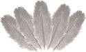 Chaks Struisvogelveren/sierveren - 5x - lichtgrijs - 20-25 cm - decoratie/hobbymateriaal