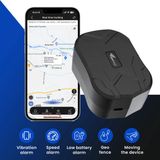 GPSBird GPS Tracker - Power - Realtime Tracking Via App - Pallets, Magazijnen, Containers & Logistiek - Wereldwijde 4G-Dekking - 20000 mAh - Tot 18 Maanden - Geofence, Bewegingsmeldingen & Routebewaking - 6 Maanden Routegeschiedenis - IP65