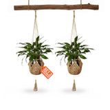 Avilia - Set van 2 hangende bloempotten van macramé, handgevlochten, voor kamerplanten, rustieke boho-decoratie, eenvoudig met haken op te hangen, elegante en ruimtebesparende stijl