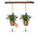 Avilia - Set van 2 hangende bloempotten van macramé, handgevlochten, voor kamerplanten, rustieke boho-decoratie, eenvoudig met haken op te hangen, elegante en ruimtebesparende stijl