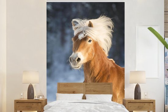 Nr1Wallpaper Behang - Fotobehang Haflinger paard in de winter - Breedte 160 cm x hoogte 240 cm