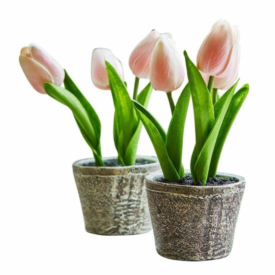 Loberon Siertulpen set van 2 Zéphine roze