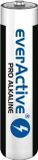 EverActive Pile alcaline, AAA (R3), 1 pièce