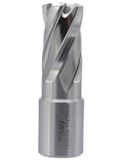 SMI Foret à carotter HSS-E au cobalt, diamètre 17 mm, profondeur de coupe 30 mm, emmanchement Weldon de 19 mm