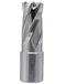 SMI Foret à carotter HSS-E au cobalt, diamètre 17 mm, profondeur de coupe 30 mm, emmanchement Weldon de 19 mm