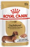 Royal Canin Dashond Adulte 85 g | 12x85