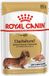 Royal Canin Dashond Adulte 85 g | 12x85