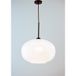 Theluz 941/25NR Plafondverlichting E27 LED Wit Glas 20W
