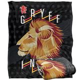 HARRY POTTER Silky Touch superzachte plaid 152 x 127 cm