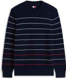 Tommy Hilfiger Tommy Jeans Gebreide Trui Lange Mouw Ronde Hals Heren S Gerecycled Katoen Casual Herfst/Winter