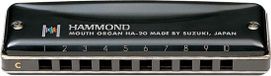 Suzuki HA-20 Hammond G Mondharmonica