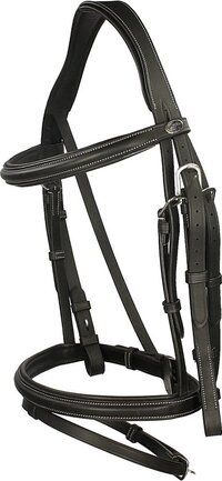 Dy'on Hoofdstel Dy'on Wc Classic Flash Zwart - Cob - Zwart