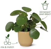 Elho Vibes Fold Rond 40 - Grand pot de fleurs d'intérieur - 100% plastique recyclé - Ø 39 x H 36.2 - Lilas doux
