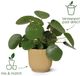 Elho Vibes Fold Rond 40 - Grand pot de fleurs d'intérieur - 100% plastique recyclé - Ø 39 x H 36.2 - Lilas doux