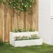 vidaXL Plantenbak Wit 100 x 60 x 45 cm Koudgewalst staal