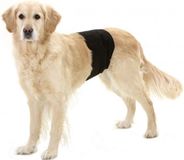 Flamingo Plasband Gentleman Wraps Plus Hond Zwart Polyester/Katoen 40 cm