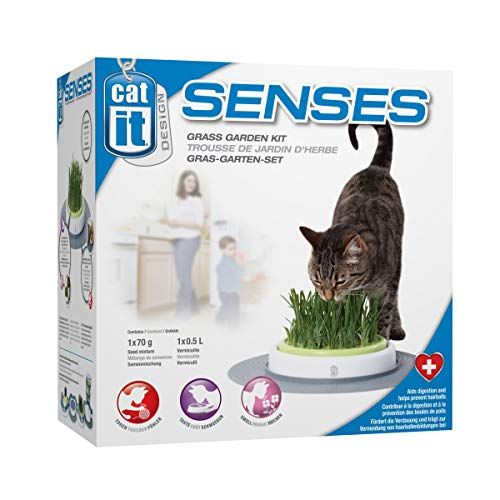 Catit Design Senses Gras, tuin, kattengras