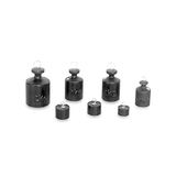 3B Scientific U8671420 Weegset 100 g tot 2000 g
