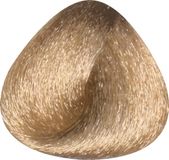 Toujours Trend Color 8.31 Light Golden Ash Blonde