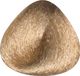 Toujours Trend Color 8.31 Light Golden Ash Blonde