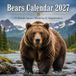 Bears Calendar 2027: 12 Month Square Planning & Organization