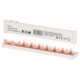 EATON Z-SV-16/1P+N-F/9 – Horizontaal – grijs – 16 mm² – 63 A – 9 modules – DISJONCTORS PH/N