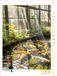 CALVENDO Puzzel Koi, 1000 stukjes, legformaat 48 x 64 cm