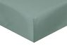 Sleepdown Hoeslaken van polykatoen, superzacht, comfortabel en onderhoudsvriendelijk, luxe bedlaken van 25 cm diep, kreukvrij, saliegroen, tweepersoonsbed