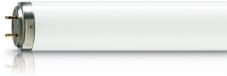 Pestwest Lampe de remplacement Quantum incassable 15 Watt