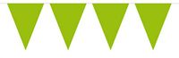 Folat Mini vlaggenlijn lime groen 3 meter