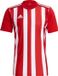 Adidas Striped 21 Shirt Korte Mouw Heren - Rood / Wit | Maat: S