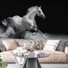 Papier peint panoramique cheval 386 cm x 255 cm