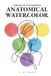 Chromatic Engineering Anatomical Watercolor: Scientific Methodology for Mastering Human Anatomy in Watercolor